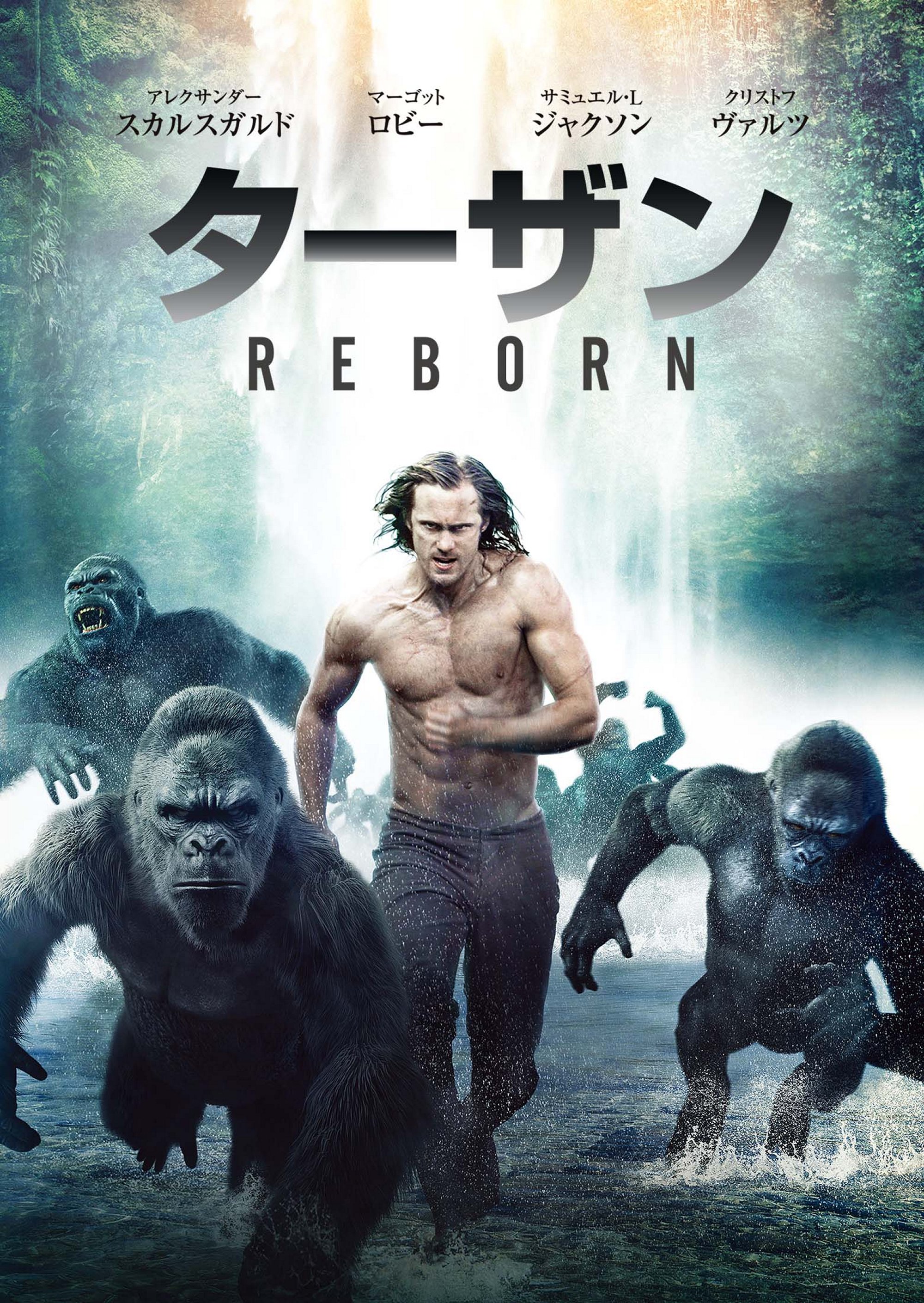 ターザン：ＲＥＢＯＲＮ | 映画上映会・業務用DVDなら【M.M.C. (エム