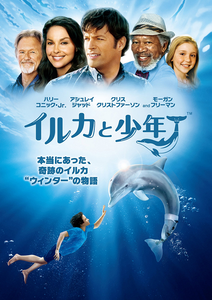 イルカと少年 映画上映会・業務用DVDなら【M.M.C. (エム・エム・シー) 】株式会社ムービーマネジメントカンパニー