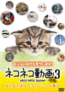 ネコネコ動画３　またまたおもしろニャンコ大集合