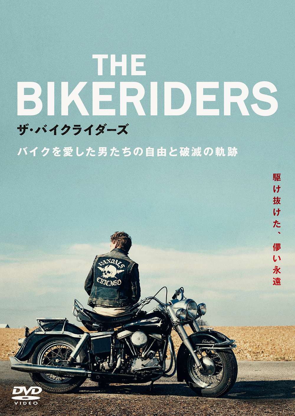ザ・バイクライダーズ | 映画上映会・業務用DVDなら【M.M.C.